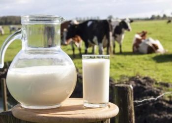 رئيس غرفة منتجي الألبان لا يملك سلطة تحديد الأسعار للمستهلك