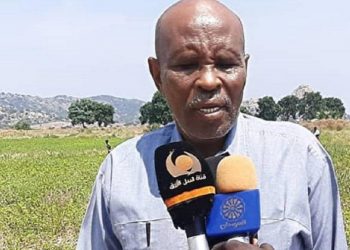 عودة الحياة والهدوء لمدينة لقاوة بعد الاحداث الدامية