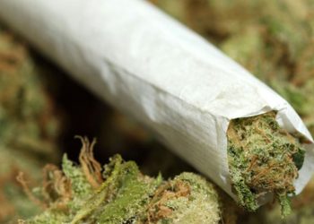 المخابرات العامة تضبط (100) كيلو حشيش أفغاني شرقي (أم ضواً بان)