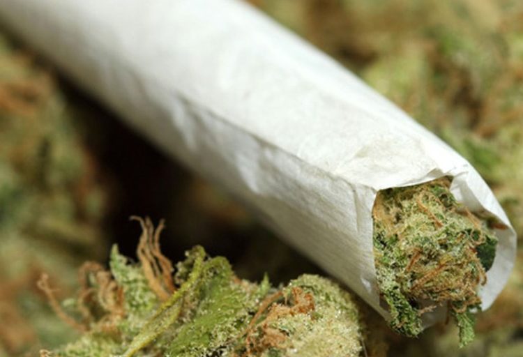 المخابرات العامة تضبط (100) كيلو حشيش أفغاني شرقي (أم ضواً بان)