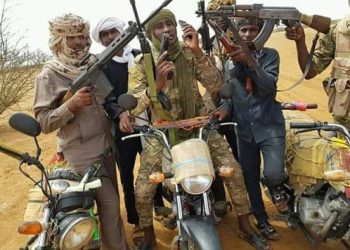 المليشيات المسلحة ارتكبت انتهاكات متفرقة دارفور