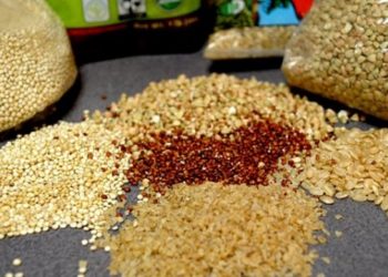 انطلاق مؤتمر الحبوب الزيتية بمشاركة 150 شركة اجنبية