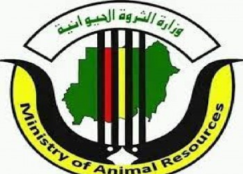 مدير عام الثروة الحيوانية بكسلا: “اؤكد اهتمام ادارتي بترقية القطاع”