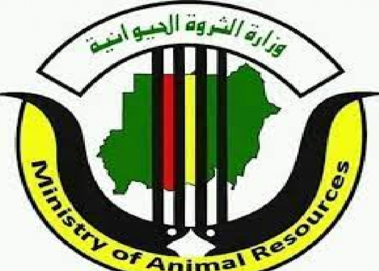 مدير عام الثروة الحيوانية بكسلا: “اؤكد اهتمام ادارتي بترقية القطاع”