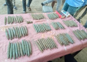 ضبط أخطر مروجي البنقو بالجزيرة