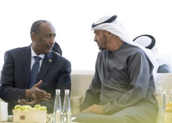 الرئيس الإماراتي يبحث مع البرهان الوضع في السودان