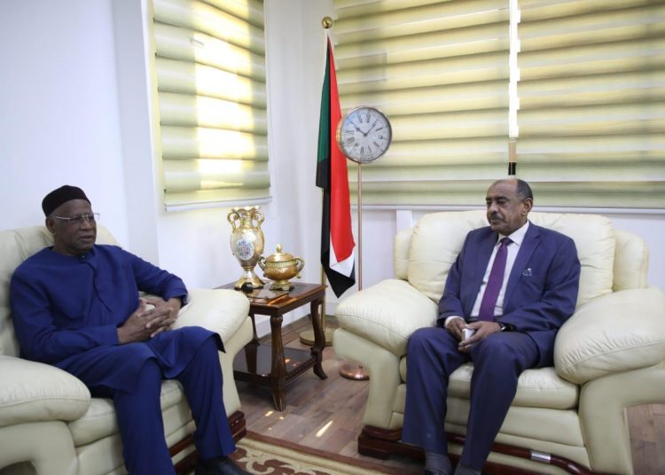 وزير الخارجية المكلف يستقبل الممثل الخاص للأمين العام للأمم المتحدة