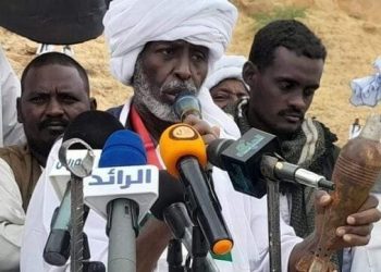 ترك يتهم الحكومة بتقسيم الشرق