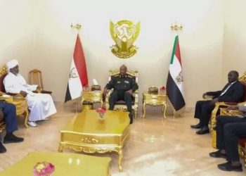 الجيش سيدعم العملية السياسية من أجل تحقيق التحول الديمقراطي