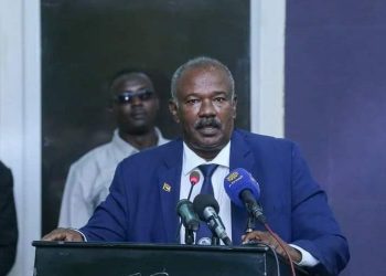 وزير الزراعة السوداني ينفي فجوة في الغذاء