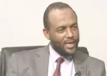 الحركات المسلحة تشكل خطراً على فرق التحصين