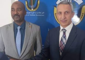 فتح اسواق جديدة للحوم السودانية بتركيا